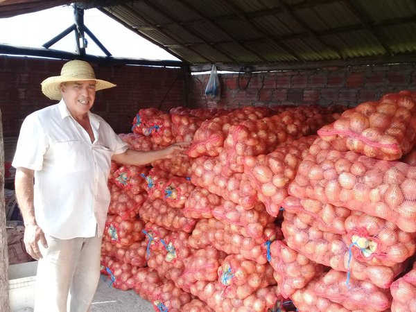 Con acceso a créditos, productores logran buena cosecha de tomate, papa y cebolla | .::Agencia IP::.