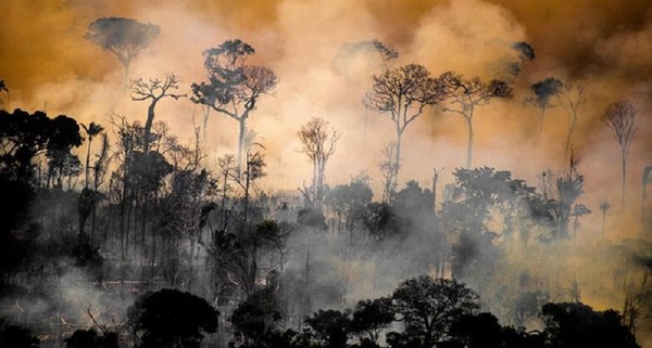 Continúan los incendios en Brasil