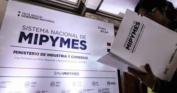 La Nación / Cobertura para créditos a mipymes todavía se puede ampliar, señala viceministro