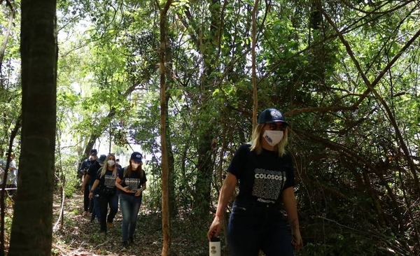 HOY / El bosque fue testigo de la medición de los primeros Colosos de la Región Oriental