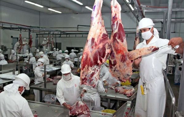 La exportación de carne sigue mejor que en 2019, a pesar de la crisis - Nacionales - ABC Color