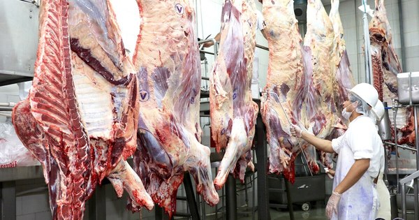 La Nación / Exportaciones de carne bovina y menudencias crecieron 6,56% a octubre