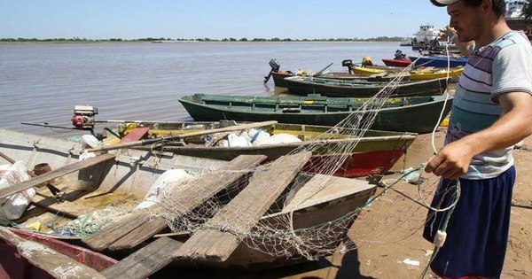La Nación / Comenzó la veda pesquera en el país