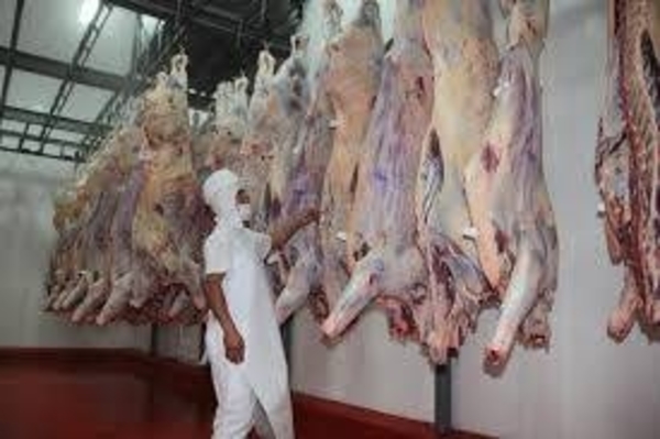 HOY / Comercio con EEUU en los últimos años, es posible que la carne paraguaya ingrese a ese mercado