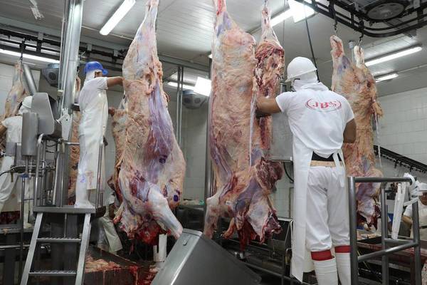 Exportaciones de carnes crecieron 5,6% a octubre