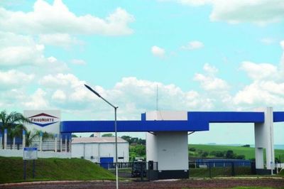FrigoNorte procesó más de 12 mil cabezas en el primer mes de operaciones
