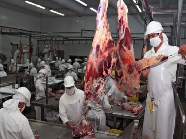 En octubre se registró la mayor faena de ganado