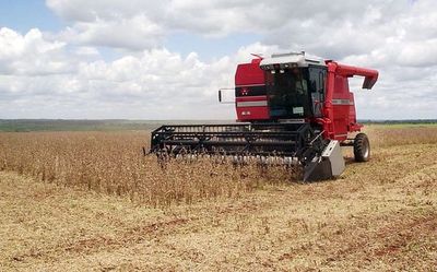 Buscan instalar la marca país en el Alto Paraná - ABC en el Este - ABC Color