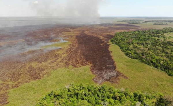 Inmobiliaria sería la responsable de alterar la reserva ecológica Isla Susu - Noticiero Paraguay