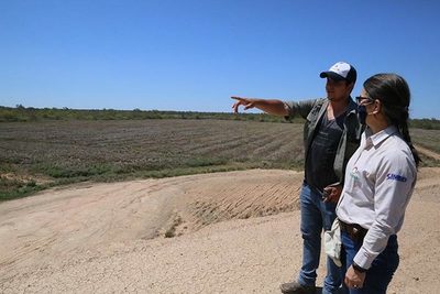 Cultivo de la soja tiene buenas perspectivas para la próxima zafra en el Chaco