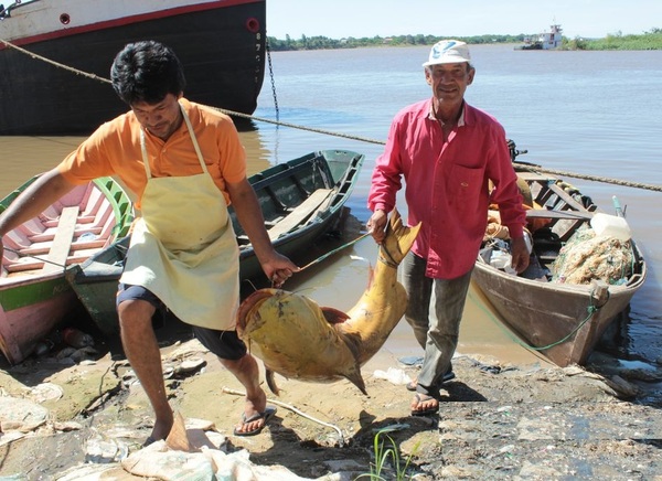 Vendedores de pescados reclaman subsidio en medio de veda