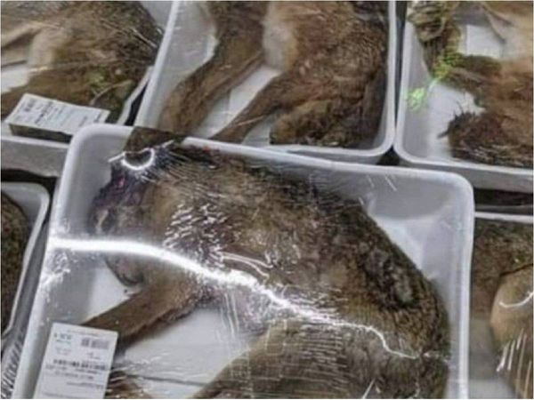 Críticas a un supermercado francés por vender animales enteros en bandejas