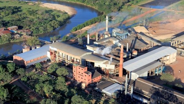 Hecho en Py: Azpa presenció una “explosión” en sus niveles de venta de azúcar durante cuarentena estricta