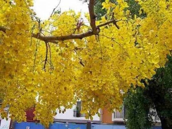 Miércoles soleado y cálido en la frontera