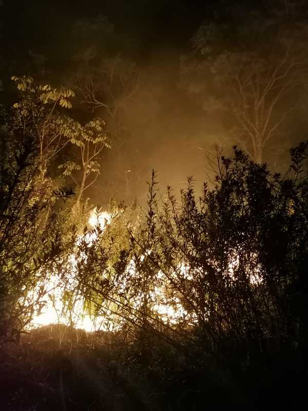 Fuego destruyó una RESERVA BOSCOSA en Los Cedrales