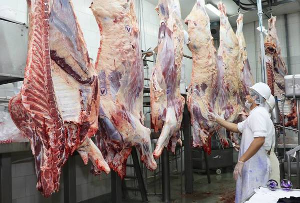 Cámara de Comercio trabaja para posicionar a la carne local en EEUU