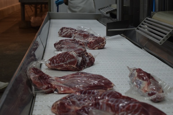 Paraguay aumentó el volumen y el precio de exportación de la carne vacuna hasta octubre