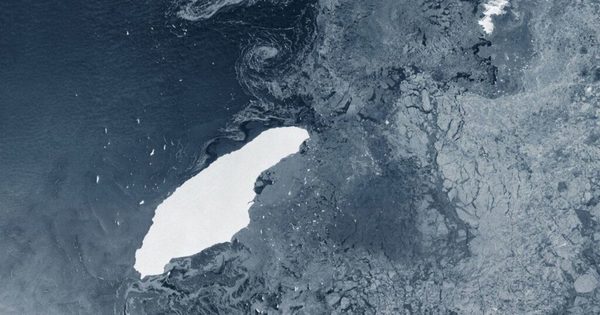 Fauna y flora de la Antártida en peligro por un inmenso iceberg | OnLivePy