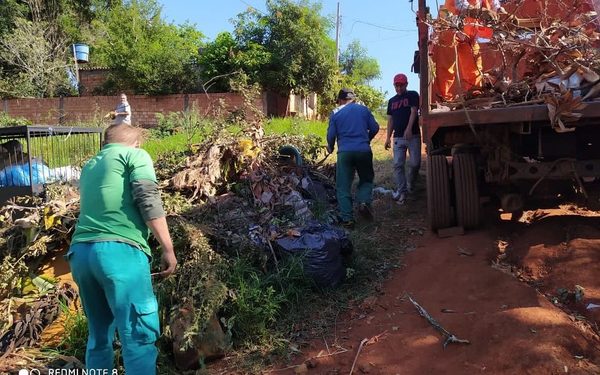 Retiran ramas secas de manera gratuita en CDE