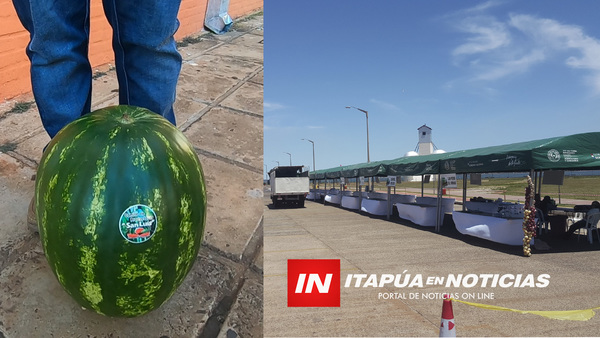 PRODUCTORES TRAEN LO MEJOR DE SU PRODUCCIÓN AL AUTOMAG EN PLAYA SAN JOSÉ.