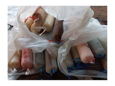 Una joven pareja vende helados artesanales para pagar una tesis 