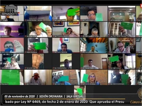 Senado rechaza veto del Ejecutivo a ley que despenaliza uso medicinal de cannabis