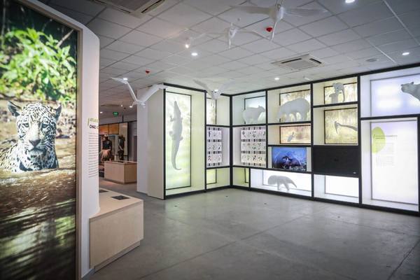 Buscan reactivar ferias de artesanía