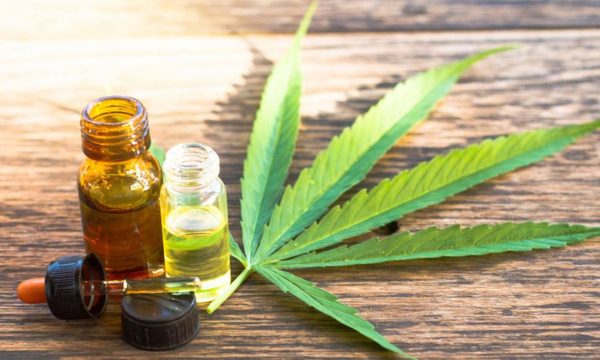 Senado rechazó veto del Ejecutivo a proyecto de ley para uso medicinal del cannabis