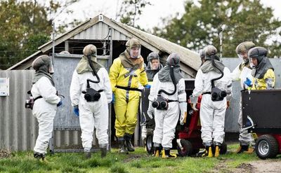 Restricciones especiales para 280.000 daneses a causa de mutación de covid-19 - Mundo - ABC Color