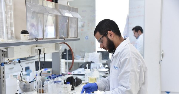 La Nación / Científicos hispanos crean pintura anti-COVID-19 en laboratorio de Israel