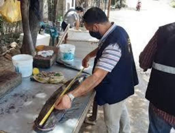 En el marco de la veda pesquera, MADES realizó controles a pescaderías de Pilar y Remanso