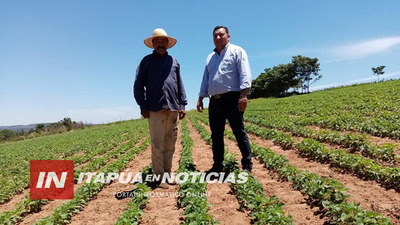 EN ALTO VERÁ, FORTALECEN LA PRODUCCIÓN DE AUTOCONSUMO Y DE RENTA