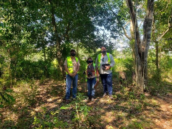 Realizan estudio de impacto ambiental para circunvalación en Curuguaty  - Nacionales - ABC Color