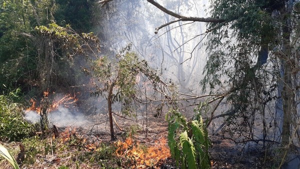 FUEGO CONSUMIÓ 10 HECTÁREAS DE MONTE EN CARLOS A. LÓPEZ