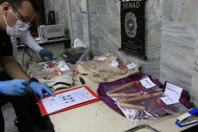 Detectan una segunda carga de droga que brasileña detenida hace una semana intentaba enviar » Ñanduti