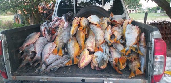 Veda Pesquera: Interceptan un vehículo que trasportaba 500 kilos de pescados en Ñeembucú - El Trueno