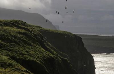 Esta es la isla más remota del mundo y que ningún ser humano ha podido conquistar - SNT