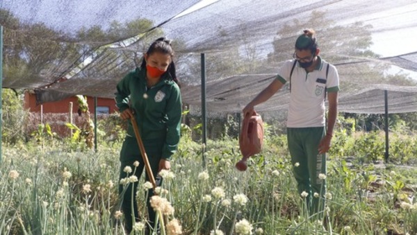 Más alumnos de colegios se incorporan al retorno voluntario a clases presenciales | .::Agencia IP::.