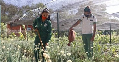 La Nación / Se siguen sumando alumnos del tercer año a las clases presenciales
