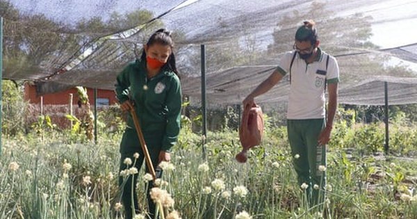 La Nación / Se siguen sumando alumnos del tercer año a las clases presenciales