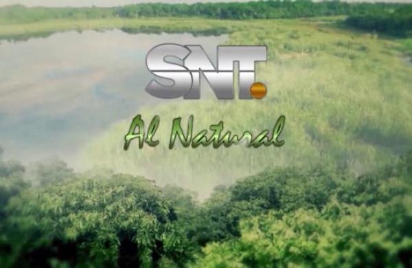 SNT Al Natural: Conocemos la importante reserva natural del Bosque Mbaracayú - SNT