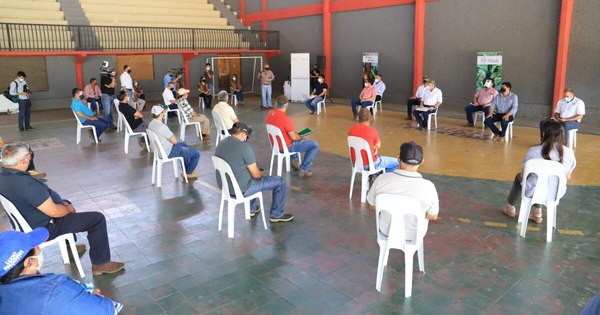 La Nación / Comercializan más de 2.500 toneladas de papa en Paraguarí