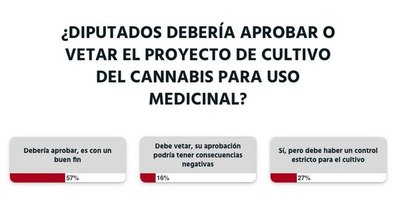 La Nación / Se debe aprobar el proyecto de ley que permite el cultivo y producción del cannabis de uso medicinal