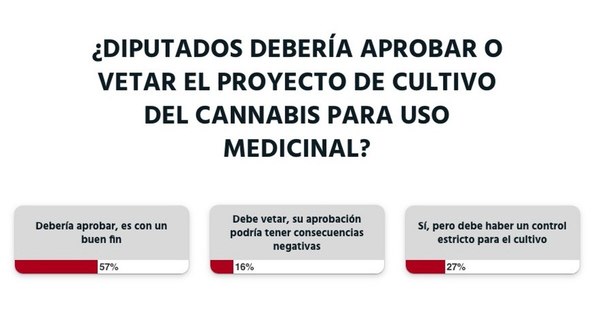 La Nación / Se debe aprobar el proyecto de ley que permite el cultivo y producción del cannabis de uso medicinal