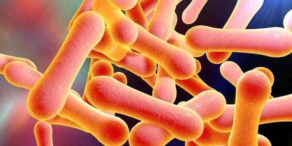 A la Covid-19 y el dengue ahora surge amenaza de la difteria, alertan - ADN Paraguayo