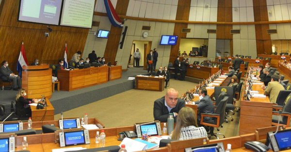 La Nación / Opositores ajustan cuestionario y pedirán tratar interpelación al titular de la Essap
