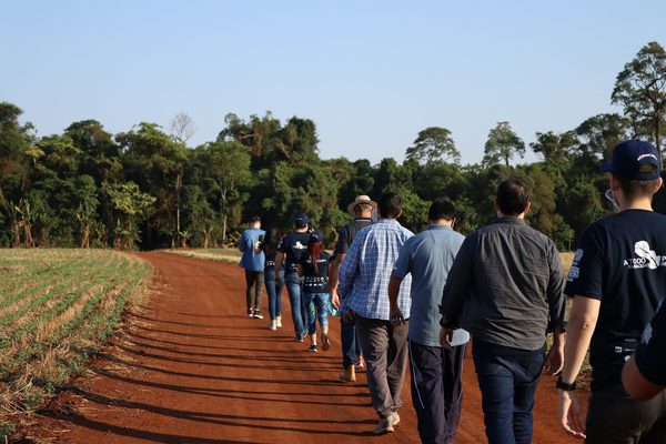 Con el objetivo de medir a los últimos árboles finalistas, inició la tercera expedición de “Colosos de la Tierra” » Ñanduti