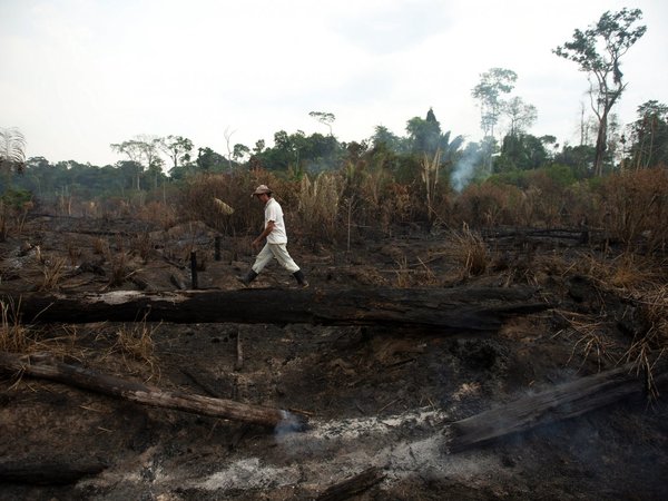 La deforestación en la Amazonía en octubre fue la mayor en 6 años