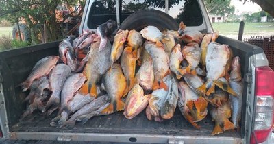 La Nación / Detuvieron en Ñeembucú un vehículo que llevaba 500 kilos de pescado