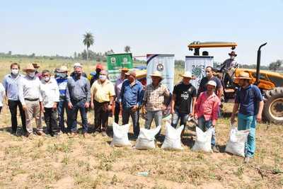 INICIA PLAN PILOTO DE SIEMBRA DIRECTA CON 150 PRODUCTORES DE SAN PEDRO DEL PNÁ